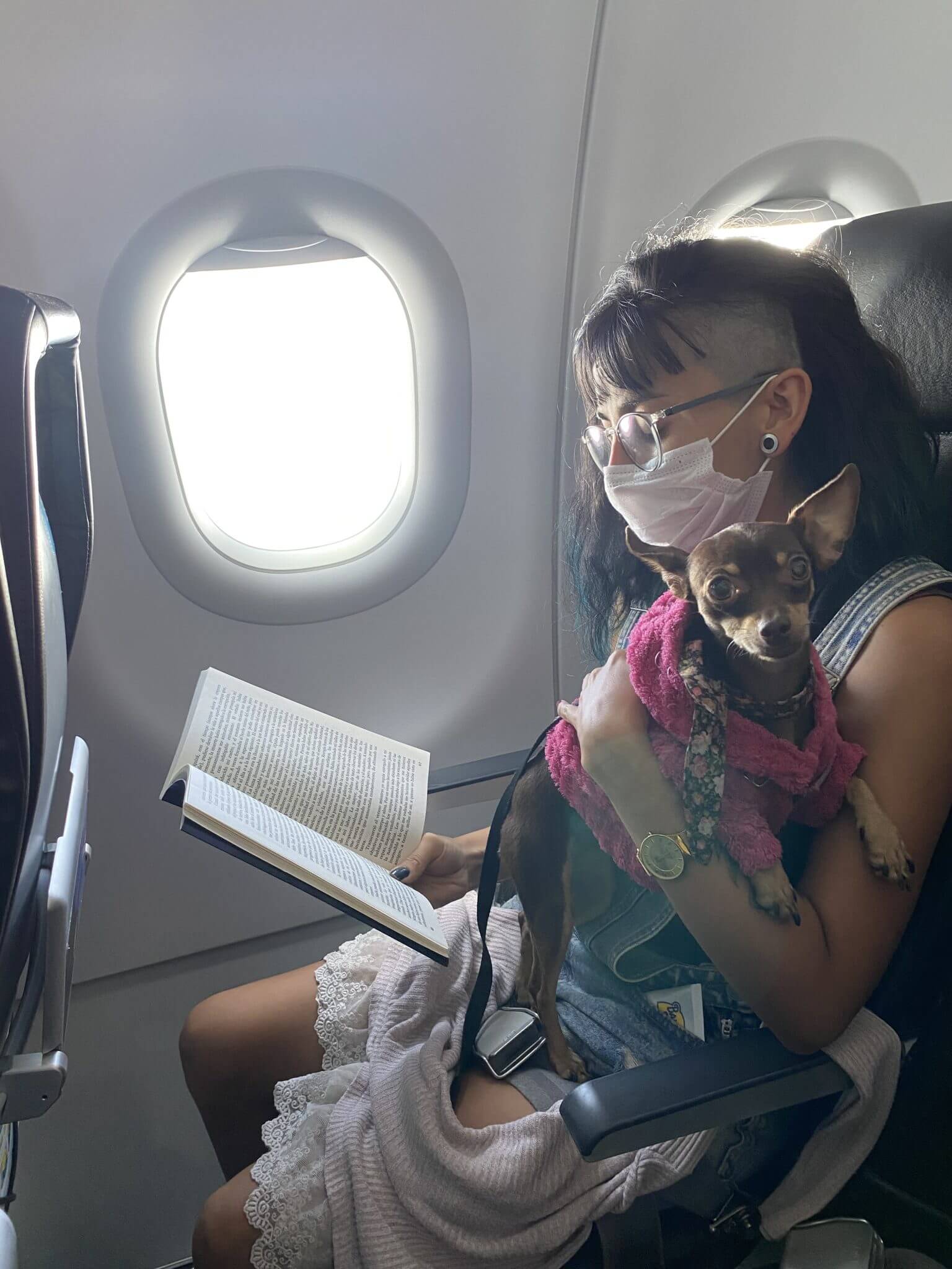 Una chica junto a la ventana de un avión leyendo un libro mientras sostiene un perro en sus brazos ,A través de impacto social y acompañamiento estratégico, generamos un impacto social, ambiental y económico significativo