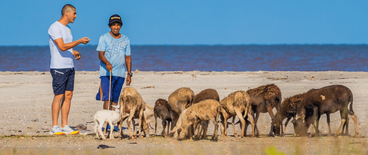 Two men talking on a beach with goats feeding nearby. Through continuous reinvestment in social projects, we aim to create a triple impact that benefits society, the environment, and the economy.