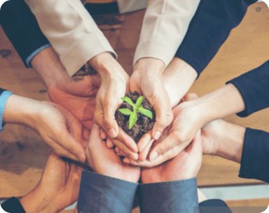 Manos de un grupo de personas sosteniendo entre ellas una planta , dándonos a conocer la importancia de los proyectos de impacto social que impulsen el desarrollo equitativo y desarrollo sostenible.