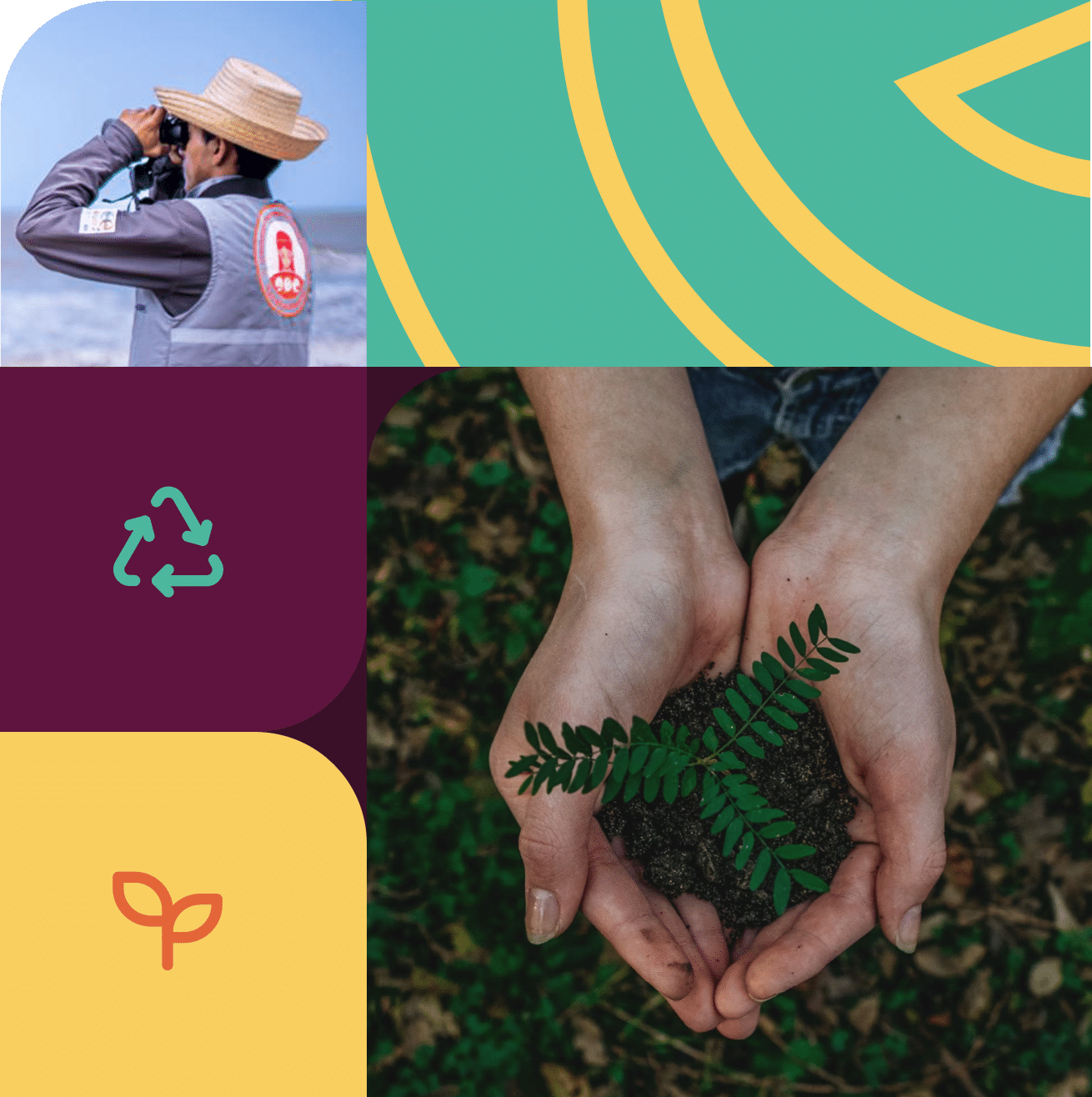 Illustration of hands holding a plant and a man with binoculars, with a focus on strategic philanthropy, we compile listings of relevant issues for ONE in terms of sustainable development in Colombia.